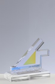 Trofee Personalizate TU 17
